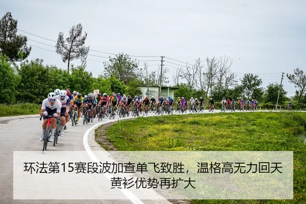 huan-fa-di-sai-duan-bo-jia-cha-dan-fei-zhi-sheng-wen-ge-gao-wu-li-hui-tian-huang-shan-you-shi-zai-kuo-da-2-607.jpg