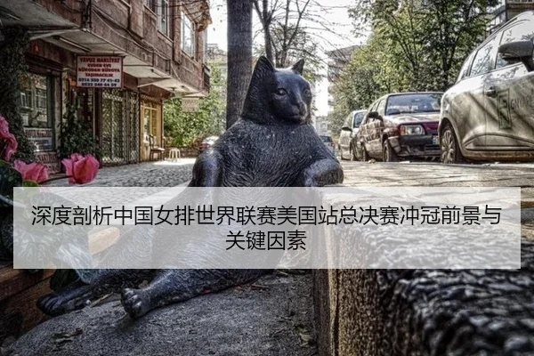 shen-du-pou-xi-zhong-guo-nv-pai-shi-jie-lian-sai-mei-guo-zhan-zong-jue-sai-chong-guan-qian-jing-yu-guan-jian-yin-su-2-372.jpg